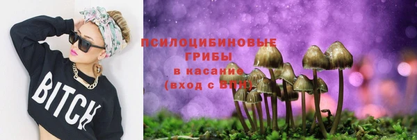 гашик Наволоки