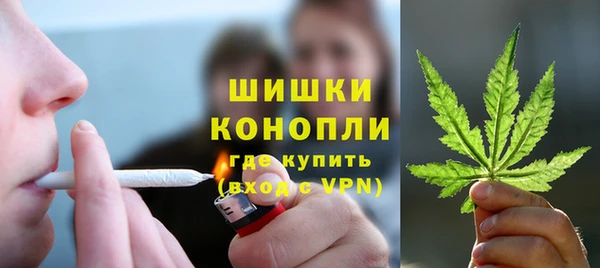ПСИЛОЦИБИНОВЫЕ ГРИБЫ Навашино