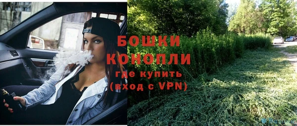 гашик Надым