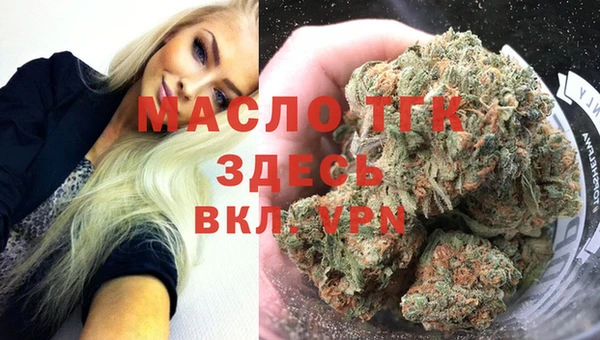 гашик Надым