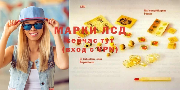 гашик Надым