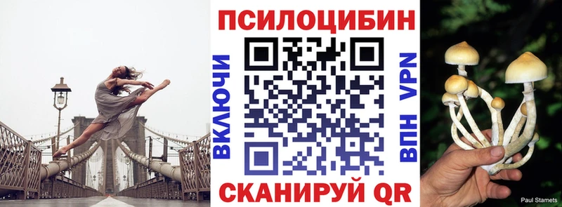 shop официальный сайт  Сельцо  Псилоцибиновые грибы мицелий 